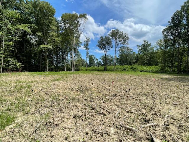 Local Zoning 101: Easements, Setbacks & Variances for Smooth Home Builds